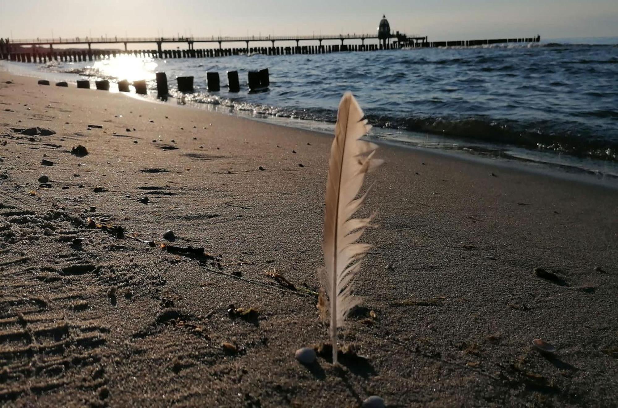 Seebaer Mit Terrasse Zingst Exteriér fotografie